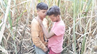Desi village gays fucking in sugarcane farm