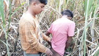 Desi village gays fucking in sugarcane farm