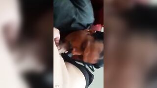 Office peon uncle doing lollipop style sucking